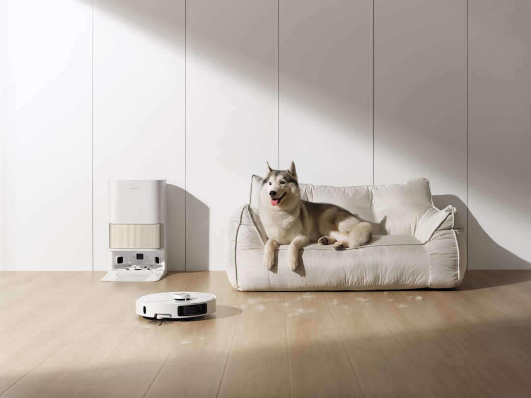 Dreame robot mop and vacuum is operating near a pet dog on a couch, showing effective pet hair cleaning performance.